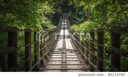 Ibaraki Prefecture Hananuki Valley Fresh green 96214784