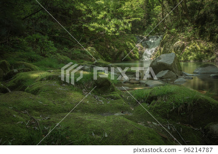 Ibaraki Prefecture Hananuki Valley Fresh green Ibaraki Prefecture Hananuki Valley Fresh green 96214787