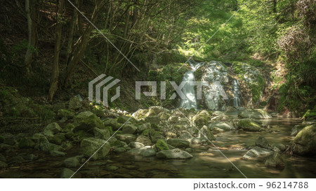 茨城縣 Hananuki Valley 新鮮的綠色 茨城縣 Hananuki Valley 新鮮的綠色 96214788