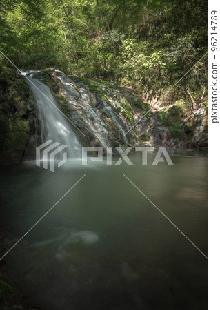 茨城縣 Hananuki Valley 新鮮的綠色 96214789