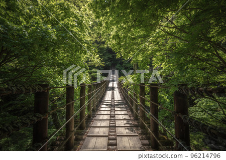 Ibaraki Prefecture Hananuki Valley Fresh green 96214796