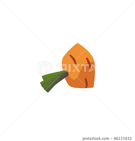 Carrot core food waste flat style, vector illustration 96215832