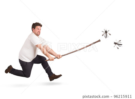 Mosquitoes attack Mosquitoes attack 96215911