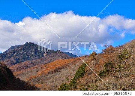 秋天的八岳南麓 96215973