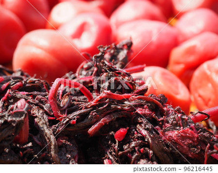 Making Umeboshi / Drying Red Perilla for Doyo Making Umeboshi / Drying Red Perilla for Doyo 96216445