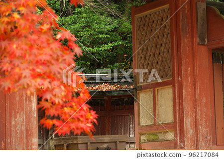 秋葉上的神行寺 96217084