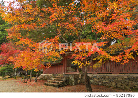 秋天的神宮寺 96217086