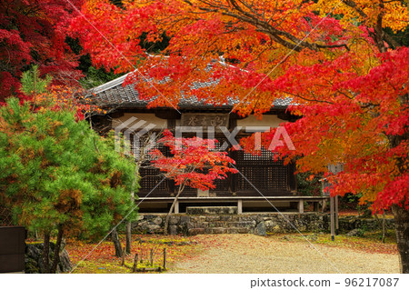 神護寺秋明堂 神護寺秋明堂 96217087