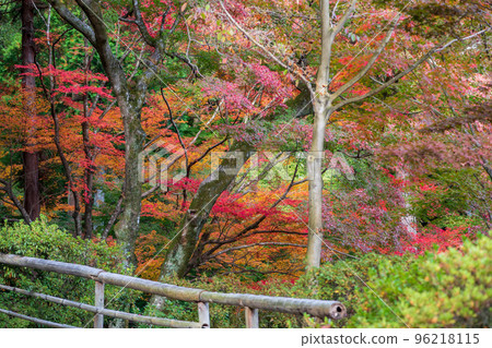佐賀縣大光禪寺境內的紅葉 佐賀縣大光禪寺境內的紅葉 96218115