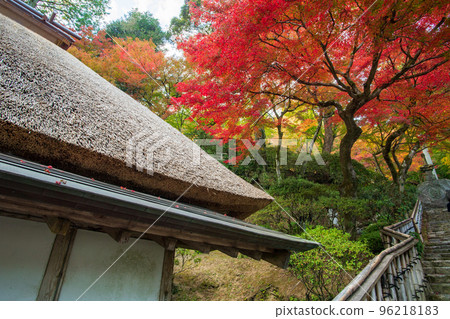 Fall foliage in the precincts of Daikozenji Temple in Saga Prefecture Fall foliage in the precincts of Daikozenji Temple in Saga Prefecture 96218183