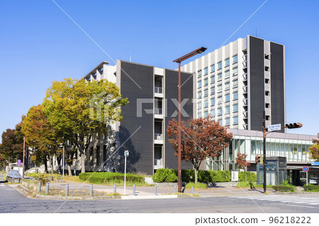 Nagoya University 96218222