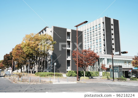 Nagoya University Nagoya University 96218224