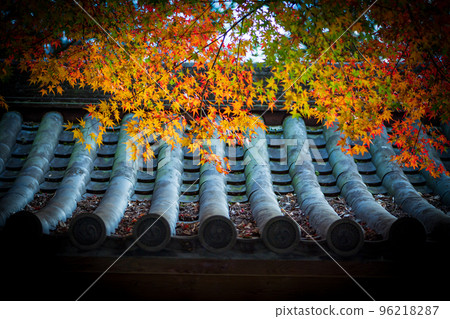 佐賀縣大光禪寺境內的紅葉 佐賀縣大光禪寺境內的紅葉 96218287
