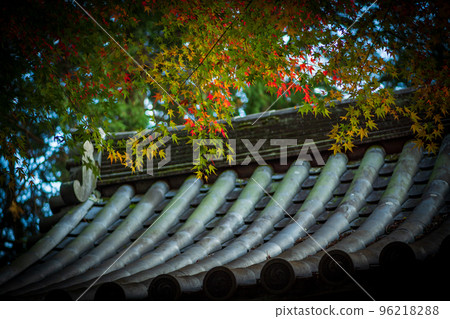 Fall foliage in the precincts of Daikozenji Temple in Saga Prefecture 96218288