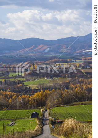 Shujitsu no Oka Autumn leaves Shujitsu no Oka Autumn leaves 96219283