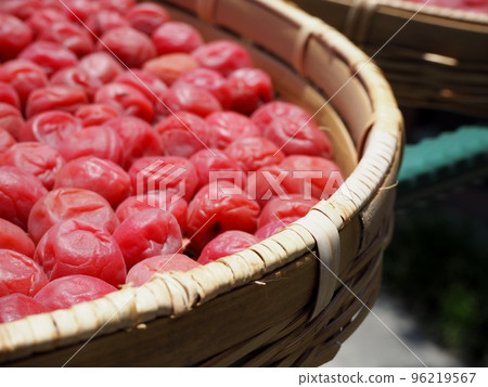 梅干製作和乾燥濾鍋 96219567