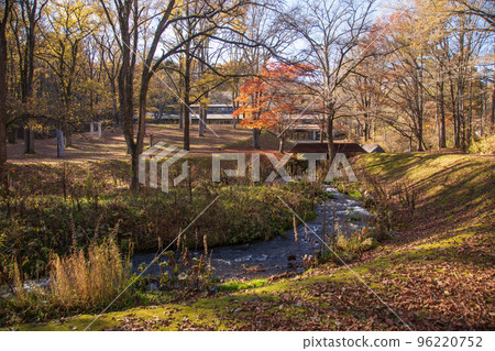 Autumn leaves near Sezon Museum of Modern Art (Karuizawa) 96220752