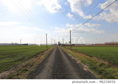 北海道十勝地區的農場風景 北海道十勝地區的農場風景 96220859