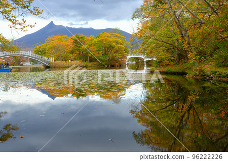 Onuma Park dyed in autumn leaves 96222226