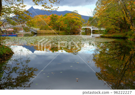 Onuma Park shines in autumn leaves 96222227
