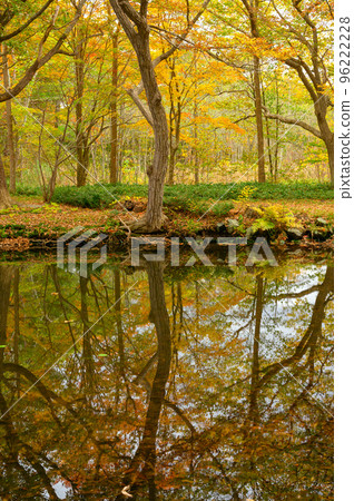 Healing autumn in Onuma 96222228