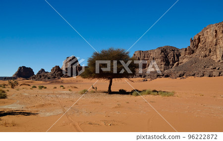 Abstract Rock formation at Boumediene in Tassili nAjjer national park, Algeria 96222872