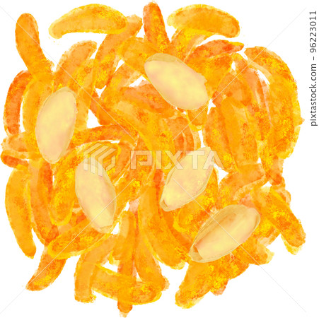 Illustration of persimmon seeds 96223011