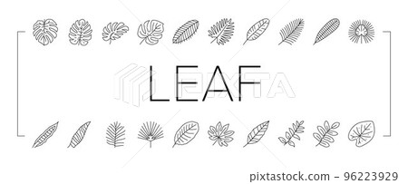 palm leaf summer plant green icons set vector 96223929