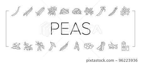 soy bean food pea green icons set vector 96223936