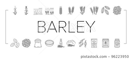 barley cereal grain harvest icons set vector barley cereal grain harvest icons set vector 96223950