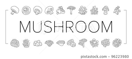 mushroom food forest fungi icons set vector mushroom food forest fungi icons set vector 96223980