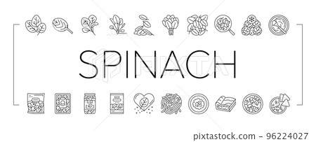 Spinach Healthy Eatery Ingredient Icons Set Vector 96224027