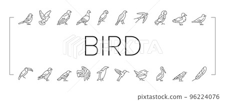 Bird Flying Animal With Feather Icons Set Vector Bird Flying Animal With Feather Icons Set Vector 96224076