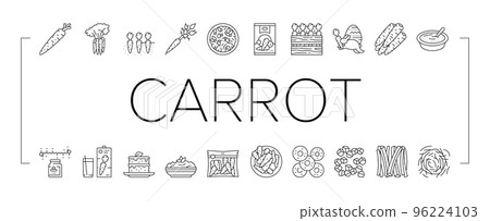 Carrot Vitamin Juicy Vegetable Icons Set Vector 96224103