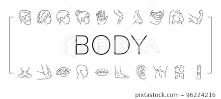 Body And Facial People Parts Icons Set Vector 96224216