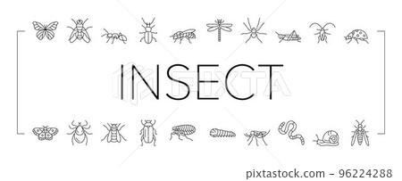 Insect, Spider And Bug Wildlife Icons Set Vector . 96224288