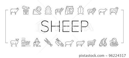 Sheep Breeding Farm Business Icons Set Vector . 96224317