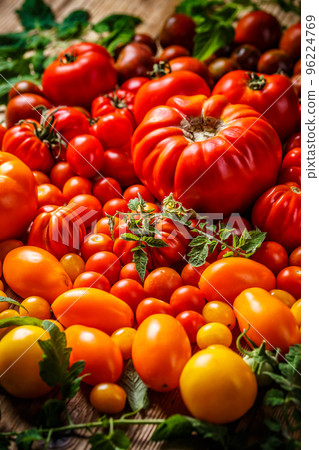 Freshly harvested tomatoes 96224769