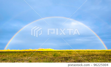 彩虹 96225004