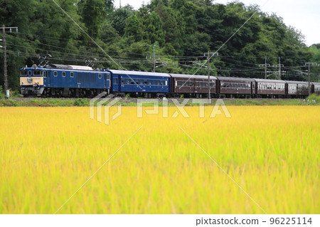 EF64-1001_2022/10/9拖曳的金色稻穗地毯和EL群馬橫川 EF64-1001_2022/10/9拖曳的金色稻穗地毯和EL群馬橫川 96225114