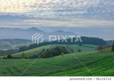 [北海道美瑛町]十勝岳聯邦和丘陵的風景 96226150