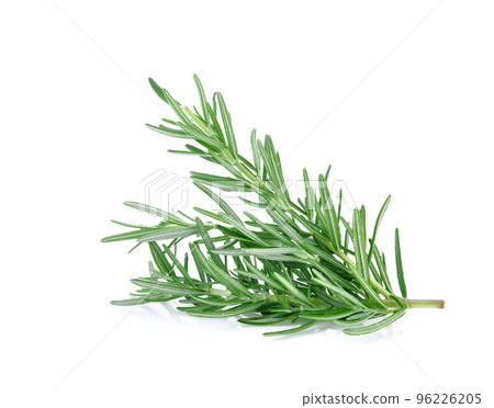Rosemary isolated on white background 96226205
