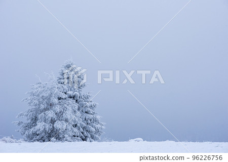 Winter landscape with frozen trees 96226756