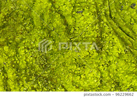 Eldhraun lava filed, Iceland aerial 96229662