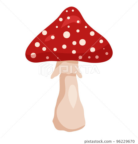 Fly agaric mushroom isolated on white background Fly agaric mushroom isolated on white background 96229670
