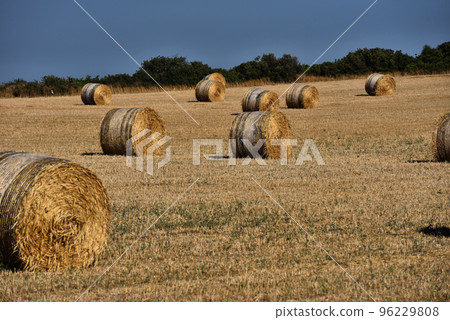 Straw bales on farmland with blue sky Straw bales on farmland with blue sky 96229808