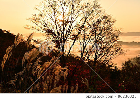 金山城蹟的雲海 96230323