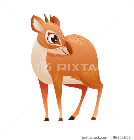Standing Brown Dik-dik as African Small Antelope with Horns Vector Illustration 96231601