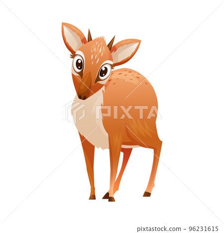 Standing Brown Dik-dik as African Small Antelope with Horns Vector Illustration Standing Brown Dik-dik as African Small Antelope with Horns Vector Illustration 96231615