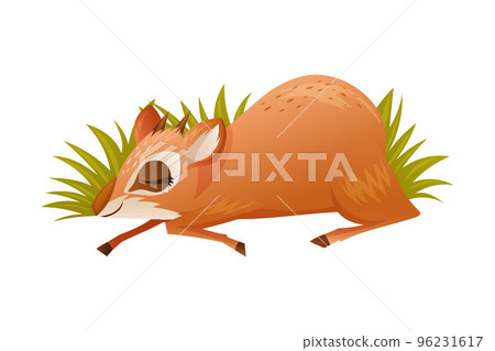 Brown Dik-dik as African Small Antelope with Horns Sleeping Lying in Green Grass Vector Illustration 96231617